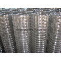 Galvanized Welded Wire Mesh of 1/4" to